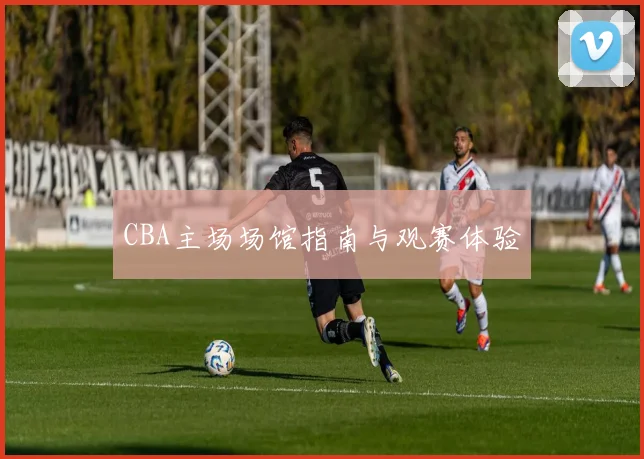 CBA主场场馆指南与观赛体验